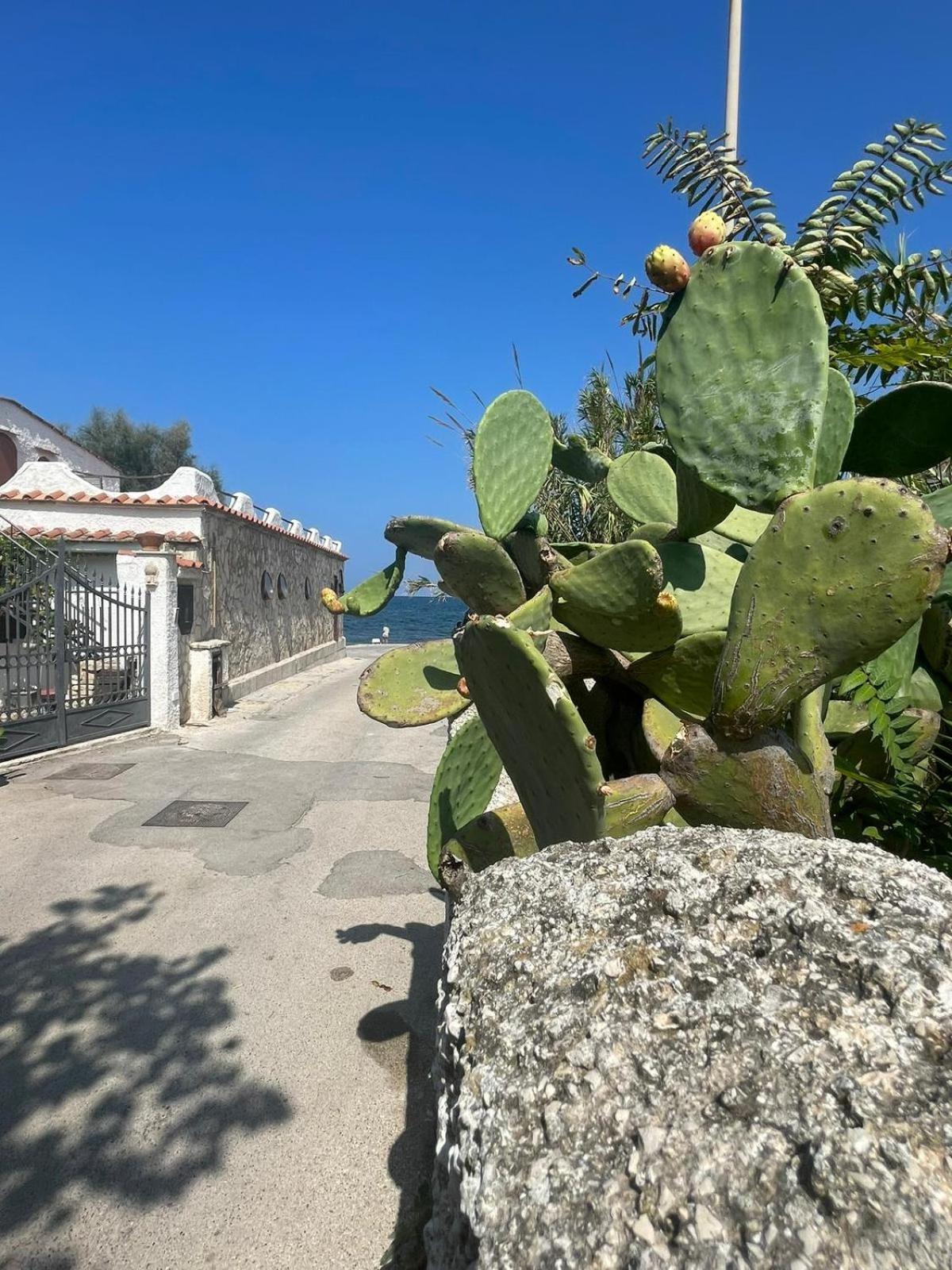 La Villetta Sul Mare Bari Buitenkant foto